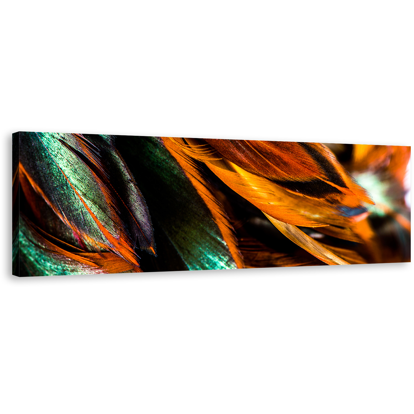 Abstract Feathers Canvas Wall Art, Orange Abstract Bird Feather Canvas Print, Green Vibrant Feathers Panoramic Canvas Artwork