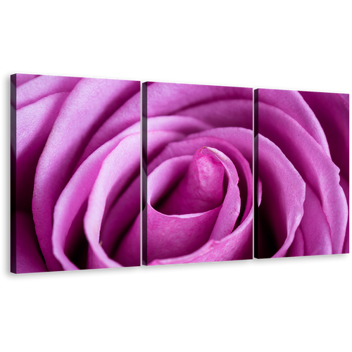 Abstract Flowers Canvas Wall Art, Purple Rose Multi Canvas Artwork, Abstract Rose Close Up 3 Piece Canvas Print