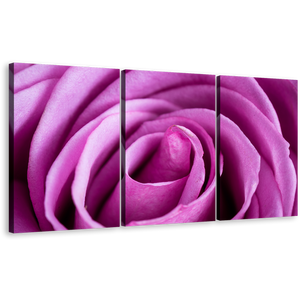 Abstract Flowers Canvas Wall Art, Purple Rose Multi Canvas Artwork, Abstract Rose Close Up 3 Piece Canvas Print