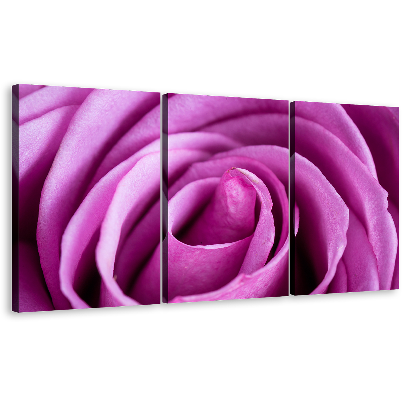 Abstract Flowers Canvas Wall Art, Purple Rose Multi Canvas Artwork, Abstract Rose Close Up 3 Piece Canvas Print