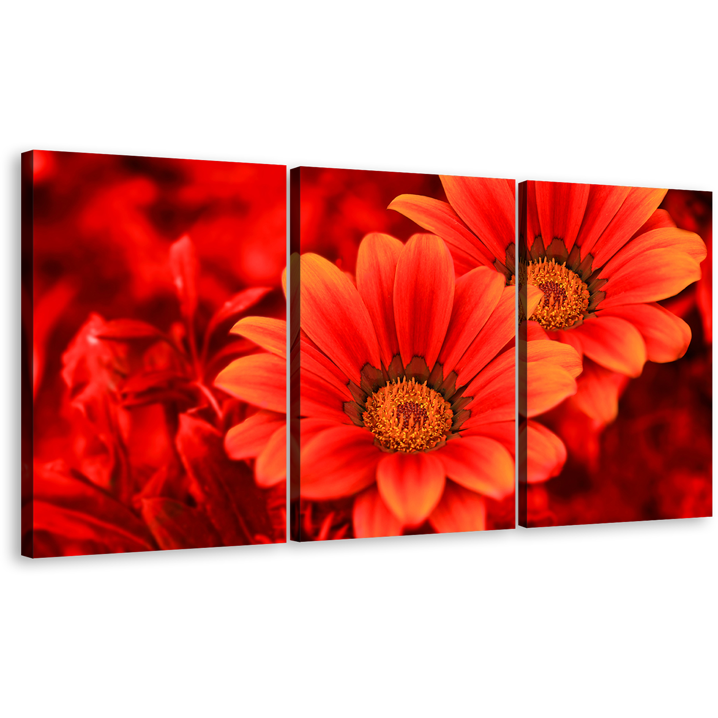 Abstract Flowers Canvas Wall Art, Red Flowers Close Up 3 Piece Multiple Canvas, Beautiful Floral Canvas Print