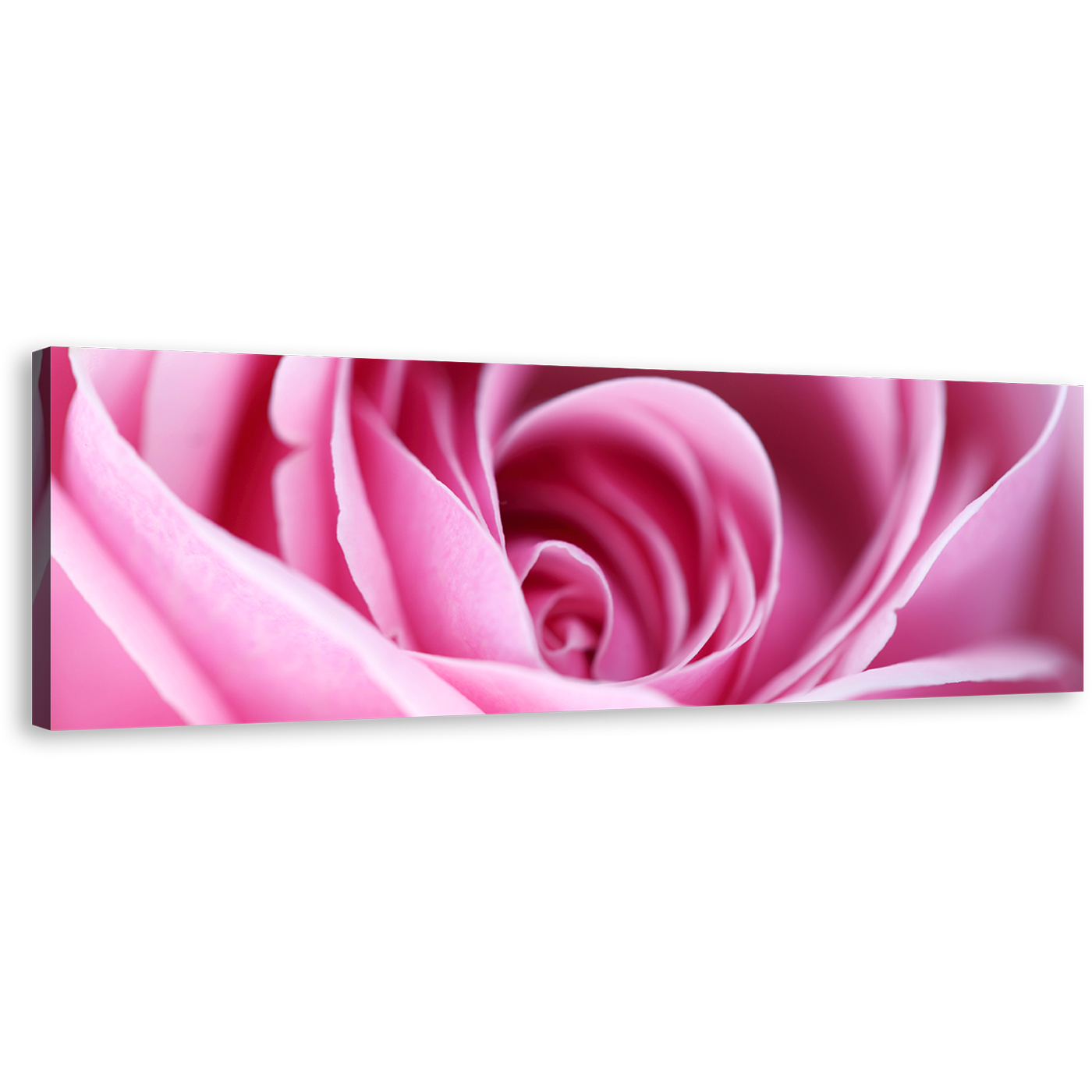 Abstract Rose Canvas Art, Purple Floral 1 Piece Canvas Print, Close Up Flowers Wall Art