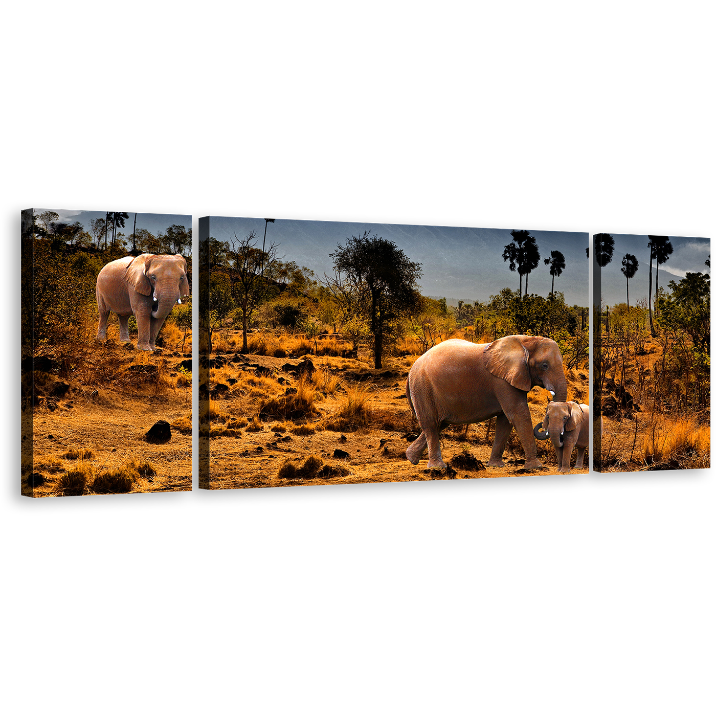 African Elephants Canvas Wall Art, Beautiful Yellow Brown Desert Land 3 Piece Canvas Print, Wild Animals Grey Sky Triptych Multiple Canvas