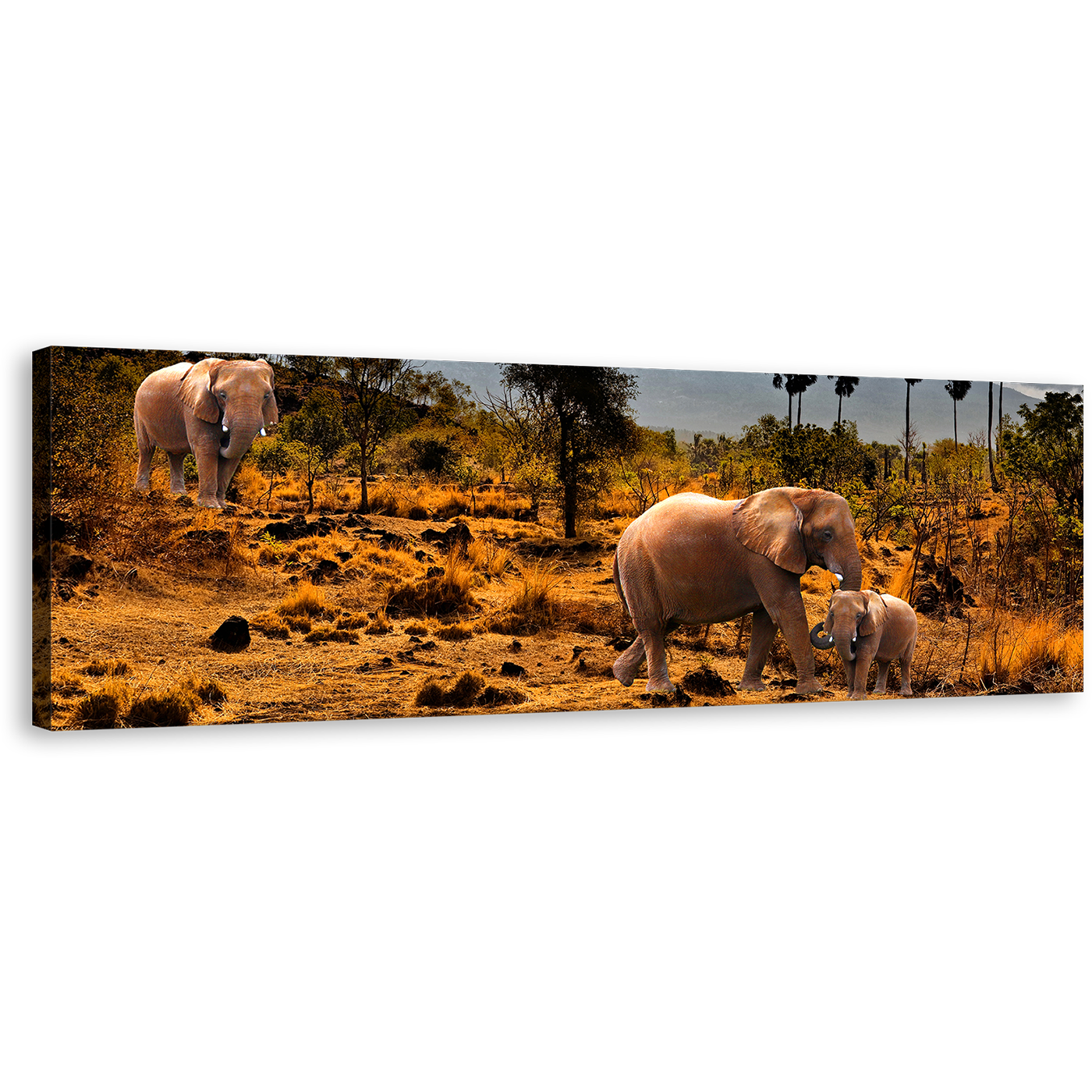 African Elephants Canvas Wall Art, Beautiful Yellow Brown Desert Land Panoramic Canvas, Wild Animals Grey Sky 1 Piece Canvas Print