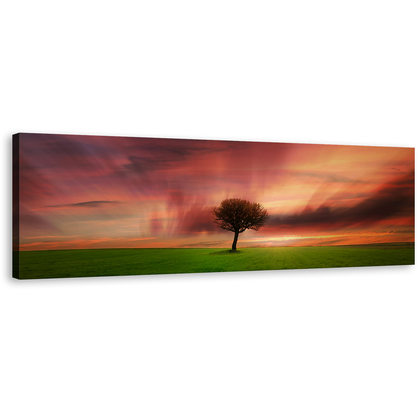 Alone Tree Canvas Print, Beautiful Orange Sky Green Fields Panoramic Canvas, Red Dramatic Dawn Canvas Wall Art