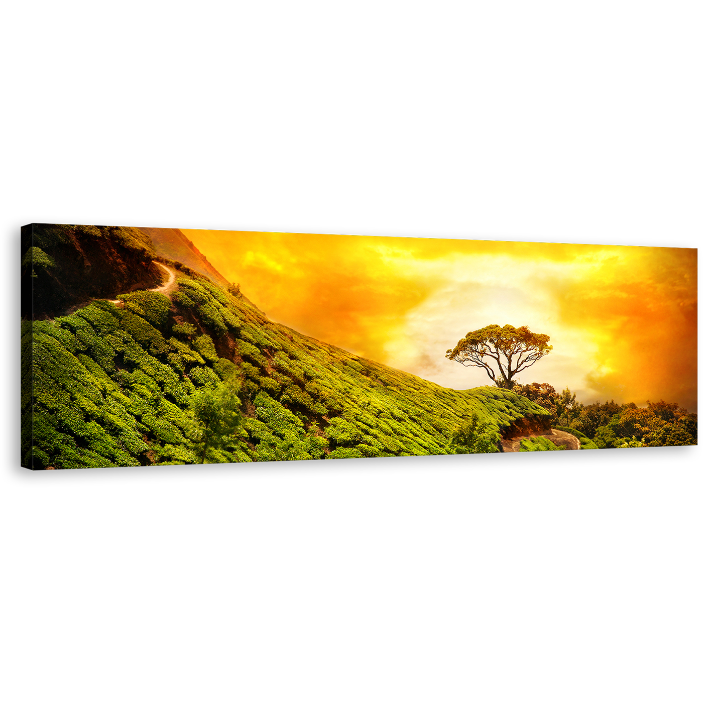 Alone Tree Canvas Wall Art, Green Munnar Kerala Landscape 1 Piece Canvas, Kerala Alone Tree Yellow Sky Canvas Print