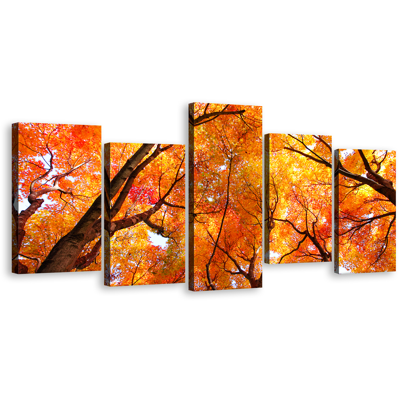 Amazing Forest Print, Looking Up Red Trees Canvas Set, Orange Trees Brunches 5 Piece Wall Art