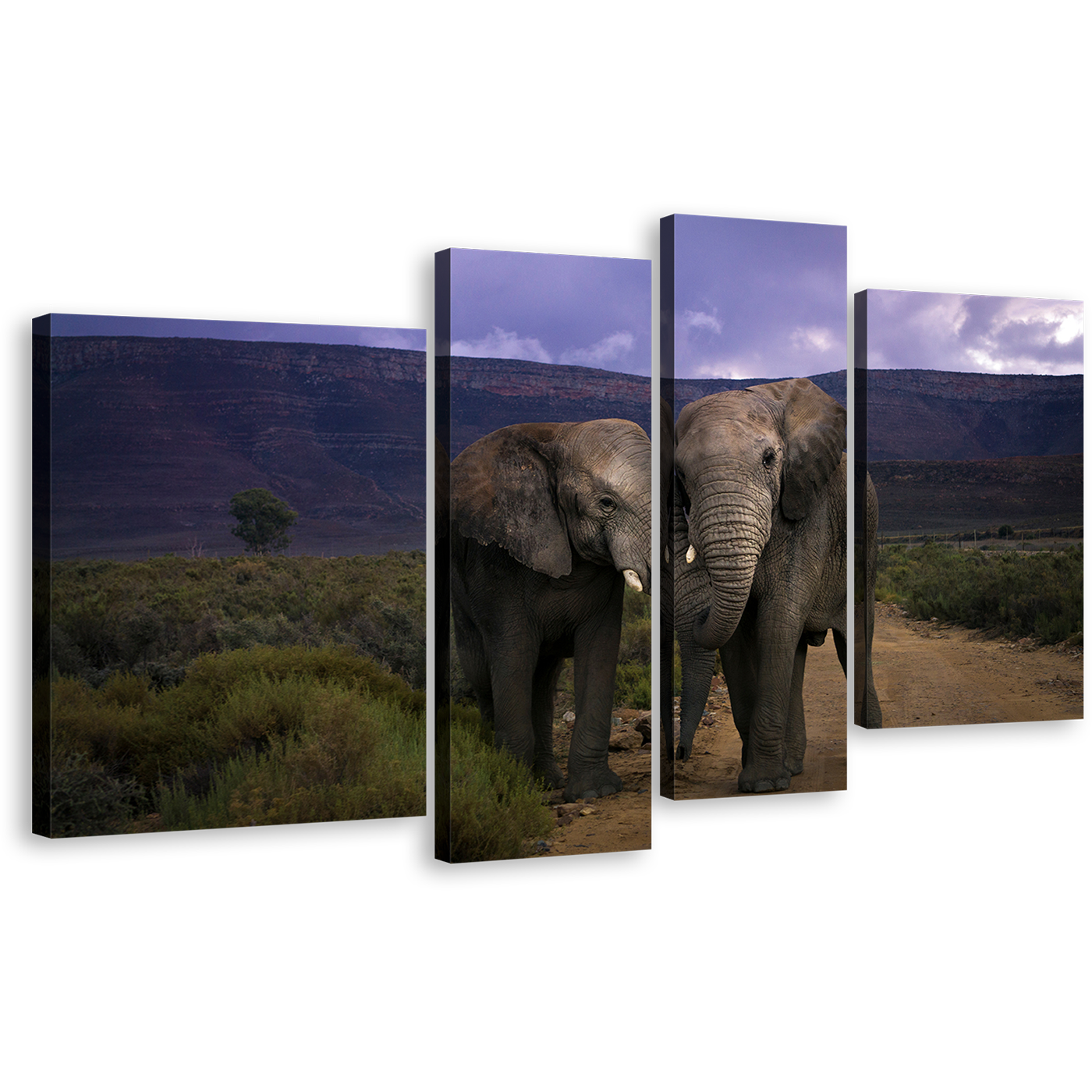 Animal Love Canvas Print, Grey Elephant Couple 4 Piece Wall Art. Elephant Kissing in Green Scenery Multiple Canvas