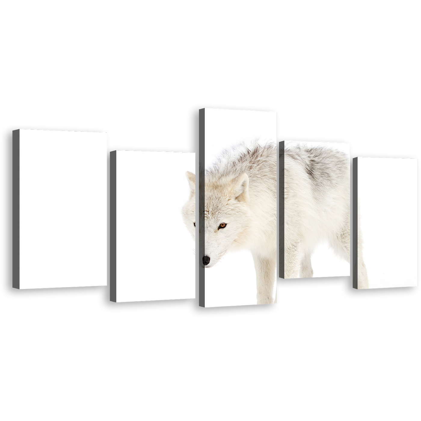 Arctic Wolf Canvas Wall Art, Wolf Snow Multiple Canvas, White Wolf Close Up 5 Piece Canvas Print