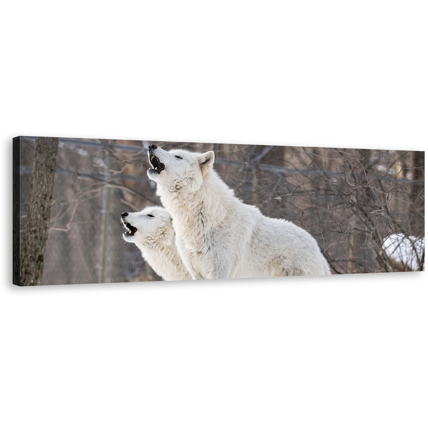 Arctic Wolves Canvas Wall Art, Wolf in Brown Nature 1 Piece Canvas Print, White Wolves Wildlife Canvas Artwork