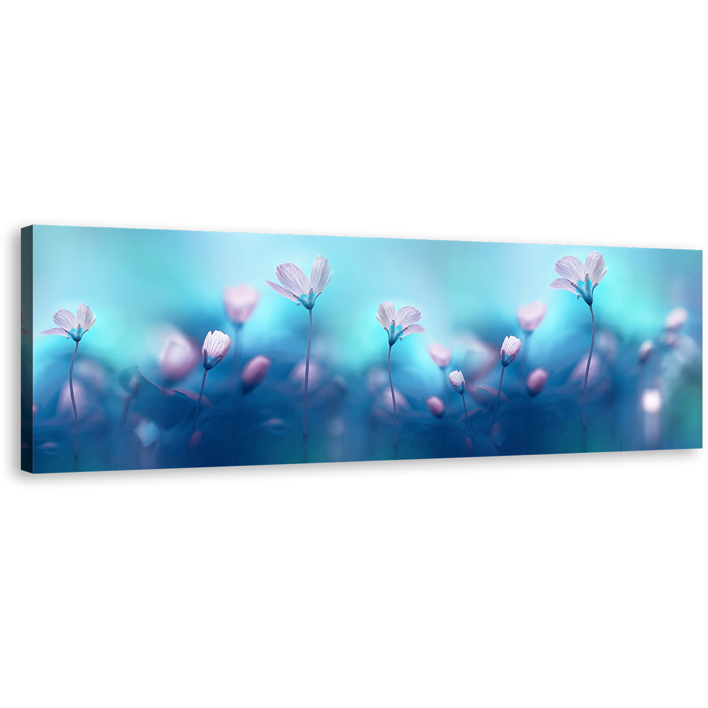 Artistic Flowers Canvas Wall Art, Pink Flowers Digital Painting Wide Canvas, White Flowers Primroses 1 Piece Canvas Print