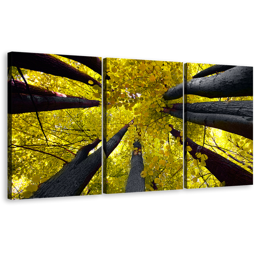 Aspen Tree Canvas Wall Art, Yellow Looking Up Forest Autumn Canvas Print, Looking Up Grey Trees 3 Piece Canvas Set