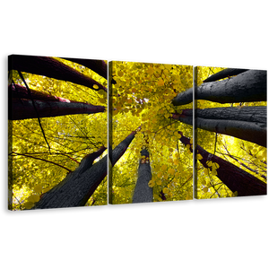 Aspen Tree Canvas Wall Art, Yellow Looking Up Forest Autumn Canvas Print, Looking Up Grey Trees 3 Piece Canvas Set