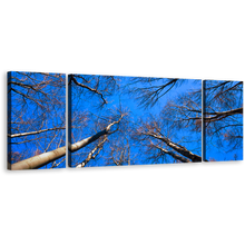 Load image into Gallery viewer, Autumn Ascent Canvas Print, Brown Tree Branches Canvas Set, Looking Up Trees Blue Sky 3 Piece Wall Art
