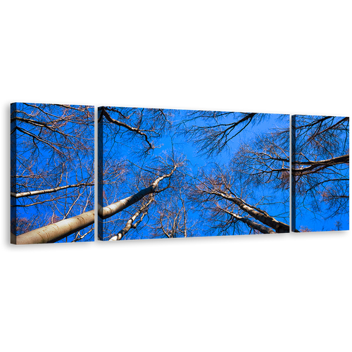 Autumn Ascent Canvas Print, Brown Tree Branches Canvas Set, Looking Up Trees Blue Sky 3 Piece Wall Art