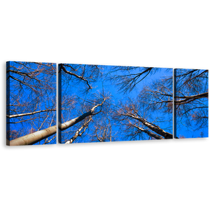 Autumn Ascent Canvas Print, Brown Tree Branches Canvas Set, Looking Up Trees Blue Sky 3 Piece Wall Art