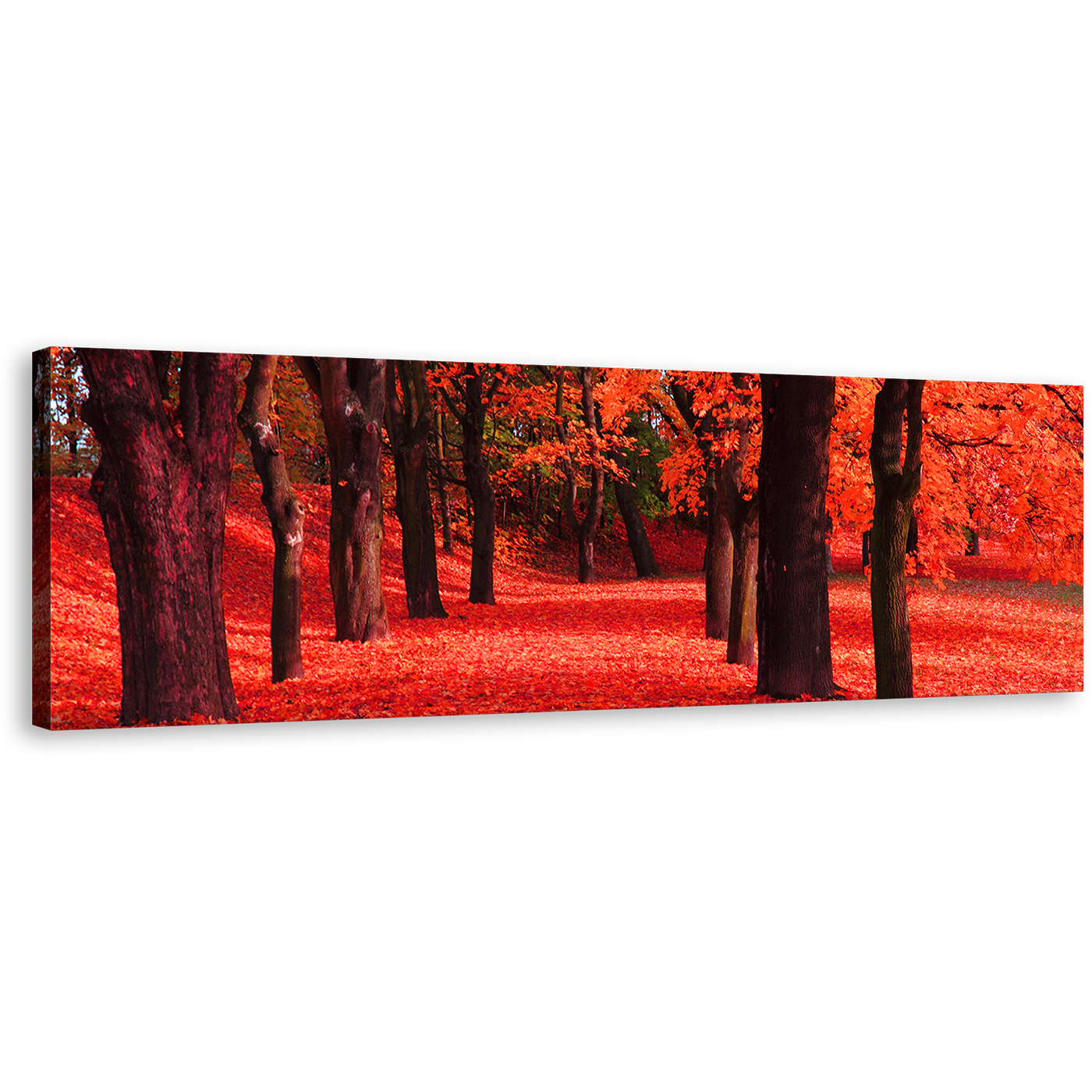 Autumn Forest Canvas Print, Black Trees Blossoms Path 1 Piece Canvas, Beautiful Contemporary Red Forest Canvas Wall Art