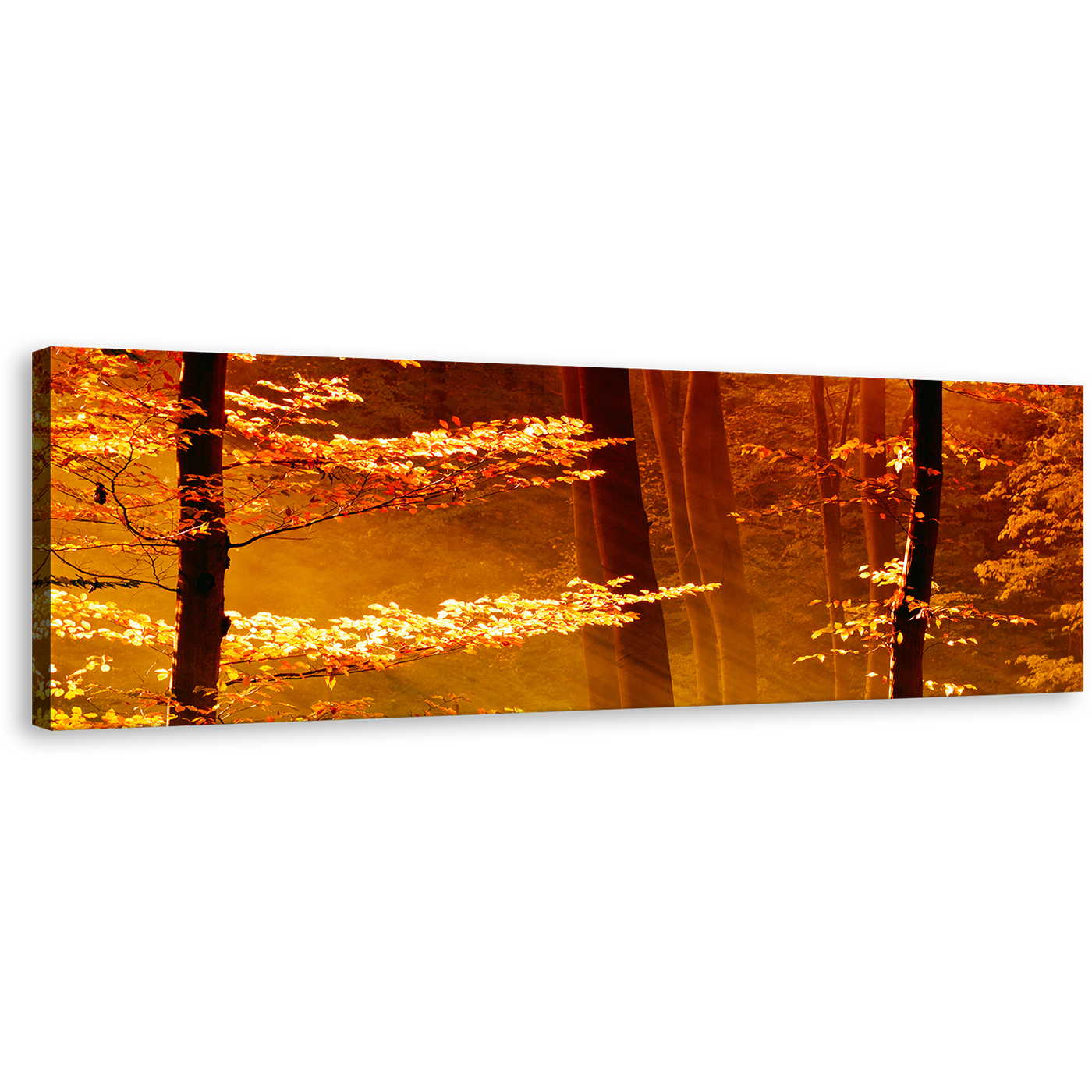 Autumn Forest Canvas Print, Orange Forest Light Panoramic Canvas, Yellow Tree Leaves Canvas Wall Art