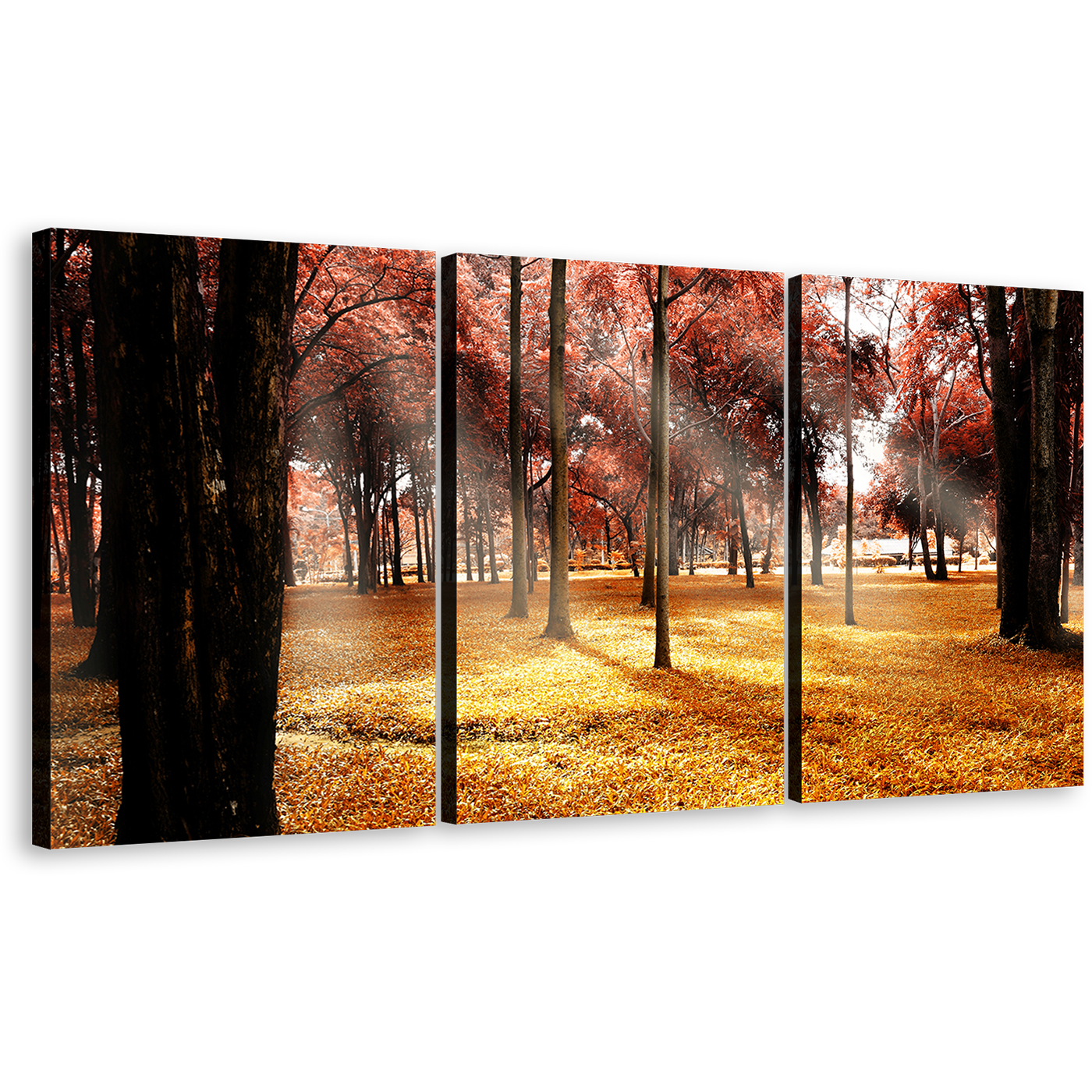 Autumn Forest Canvas Print, Yellow Fields Sun Rays Scenery 3 Piece Canvas Wall Art, Beautiful Red Trees Scenic Forest Triptych Multi Canvas