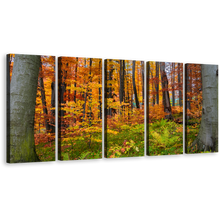 Load image into Gallery viewer, Autumn Forest Canvas Wall Art, Green Forest In Fall Canvas Print, Orange Trees Landscape 5 Piece Canvas
