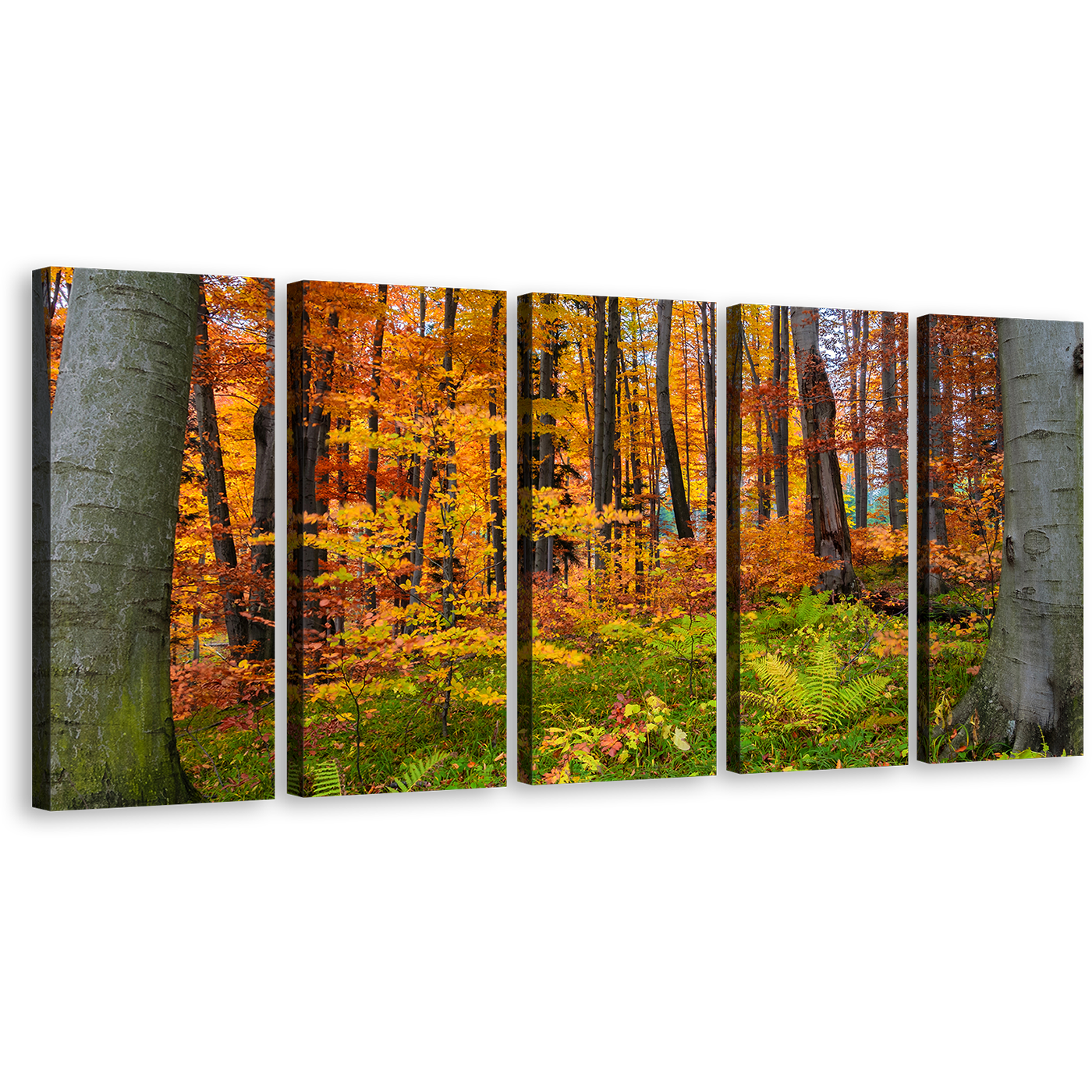 Autumn Forest Canvas Wall Art, Green Forest In Fall Canvas Print, Orange Trees Landscape 5 Piece Canvas