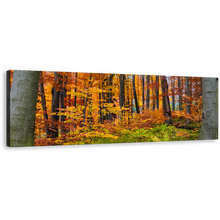 Load image into Gallery viewer, Autumn Forest Canvas Wall Art, Green Forest In Fall Canvas Print, Orange Trees Landscape Panoramic Canvas Artwork
