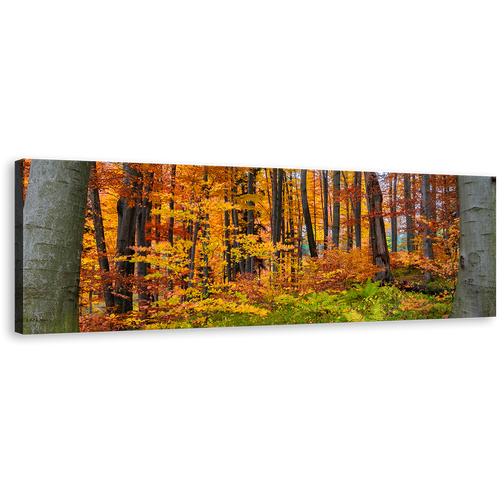 Autumn Forest Canvas Wall Art, Green Forest In Fall Canvas Print, Orange Trees Landscape Panoramic Canvas Artwork