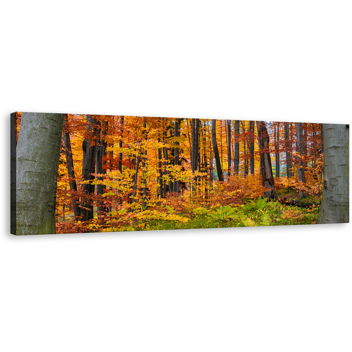 Autumn Forest Canvas Wall Art, Green Forest In Fall Canvas Print, Orange Trees Landscape Panoramic Canvas Artwork