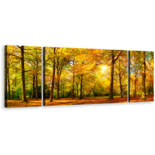 Load image into Gallery viewer, Autumn Forest Canvas Wall Art, Orange Green Trees Fields Canvas Print, Yellow Sun Casting Forest 3 Piece Multiple Canvas
