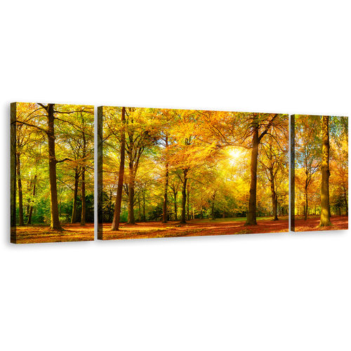 Autumn Forest Canvas Wall Art, Orange Green Trees Fields Canvas Print, Yellow Sun Casting Forest 3 Piece Multiple Canvas