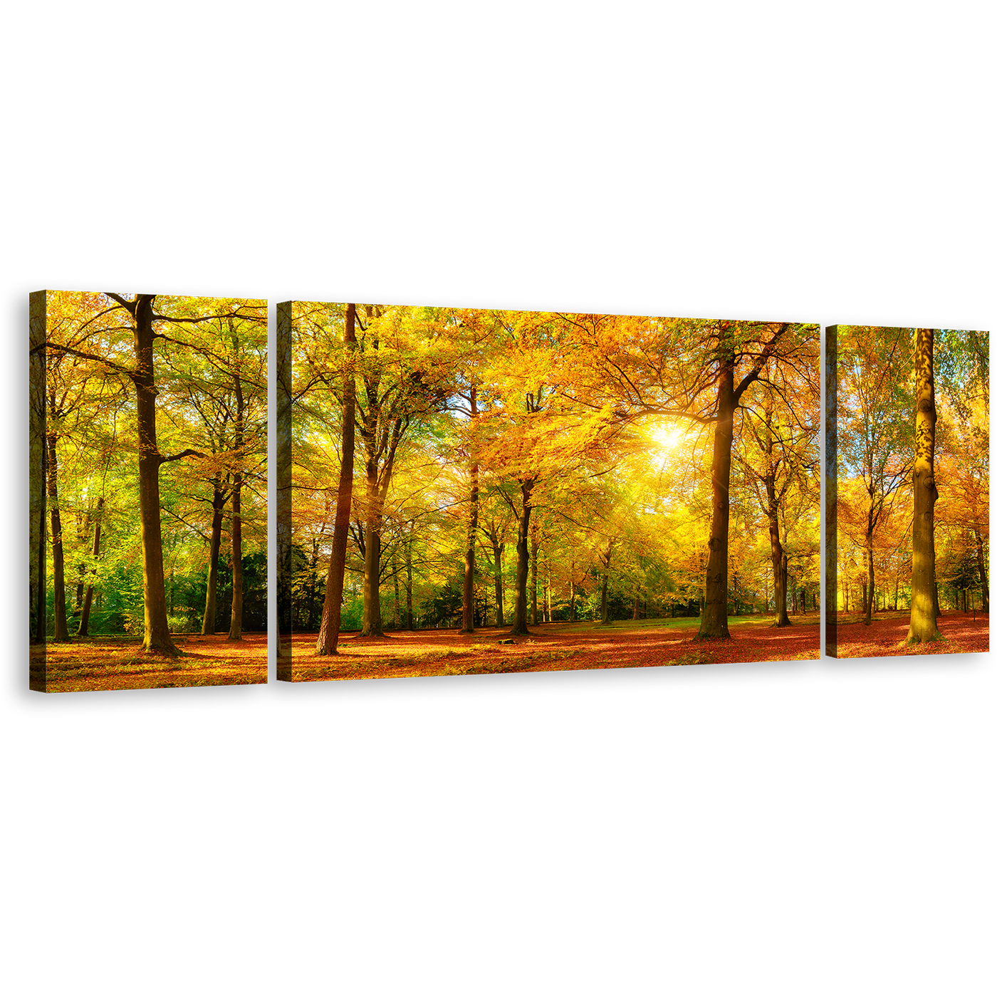 Autumn Forest Canvas Wall Art, Orange Green Trees Fields Canvas Print, Yellow Sun Casting Forest 3 Piece Multiple Canvas