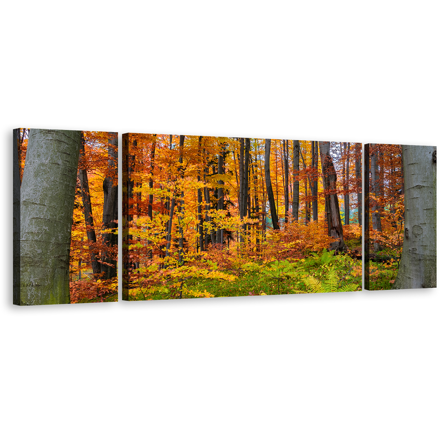 Autumn Forest Canvas Wall Art, Orange Trees Landscape 3 Piece Canvas Print, Green Triptych Forest In Fall Multi Canvas