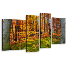 Load image into Gallery viewer, Autumn Forest Canvas Wall Art, Orange Trees Landscape 4 Piece Canvas, Green Forest In Fall Canvas Print
