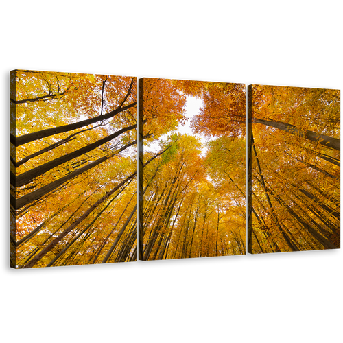 Autumn Forest Canvas Wall Art, Yellow Orange Trees Looking Up Canvas Print, Looking Up White Sky 3 Piece Canvas