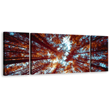 Load image into Gallery viewer, Autumn Forest Wall Art, Blue Sky Sunrise Triptych Canvas Set, Looking Up Orange Trees Forest Canvas Print
