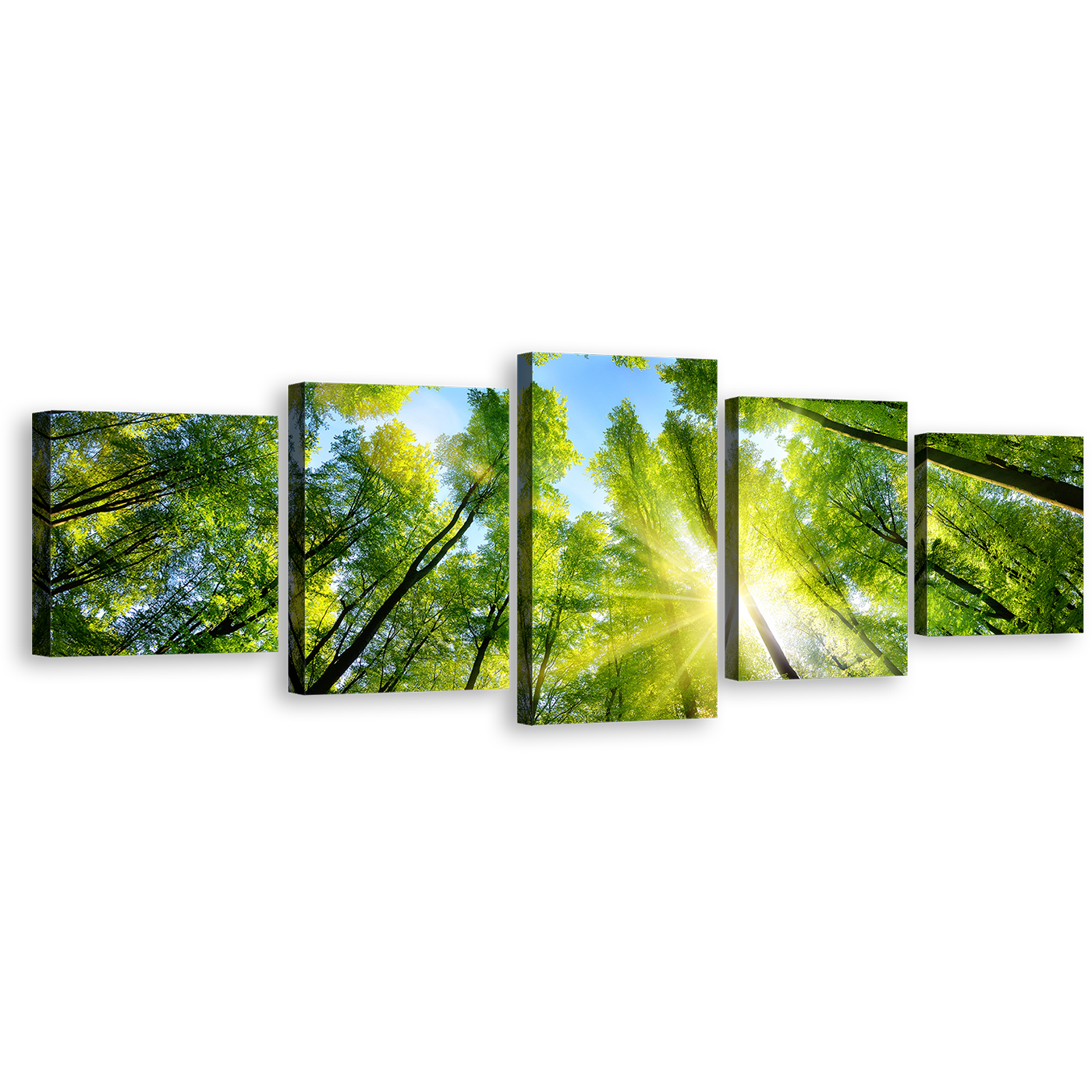 Autumn Forest Wall Art, Yellow Sunrise Sky Nature Multi Canvas, Looking Up Green Trees Branches 5 Piece Canvas Print