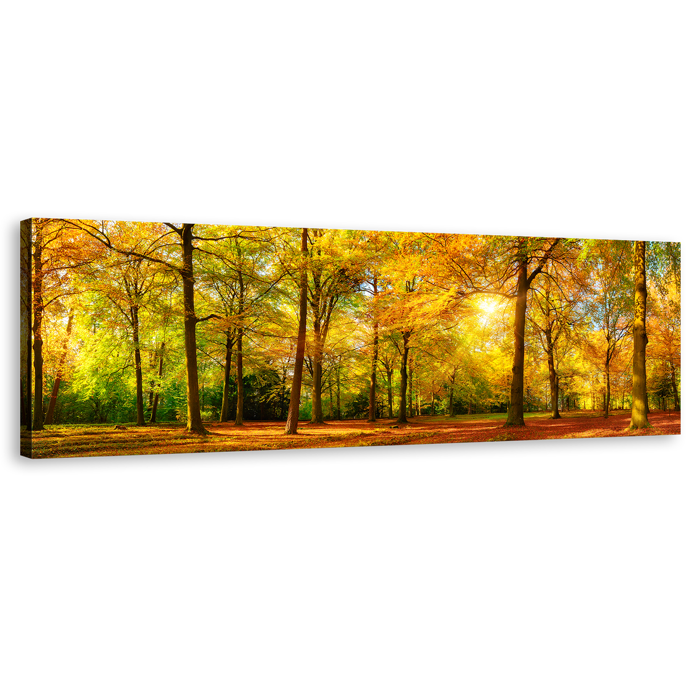 Autumn Landscape Canvas Print, Orange Fields Scenic Autumn Forest 1 Piece Canvas Art, Yellow Sun Casting Forest Canvas Wall Art