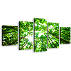 Autumn Trees Canvas Wall Art, Looking Up Green Trees Branches Canvas Set, White Sky Sunrise Looking Up 5 Piece Canvas Print