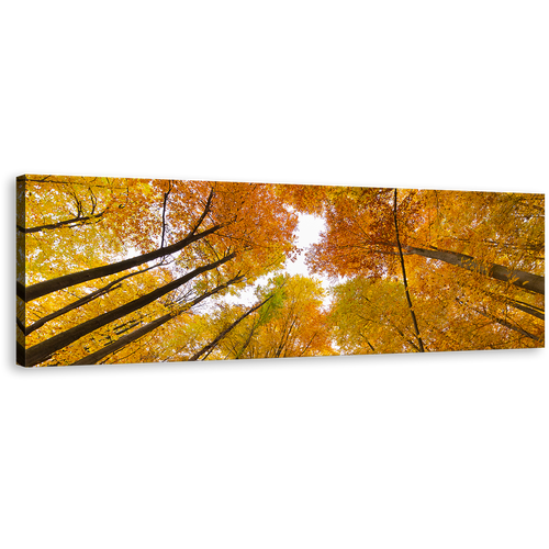 Autumn Trees Canvas Wall Art, Looking Up White Sky 1 Piece Canvas Artwork, Looking Up Through Orange Forest Canvas Print