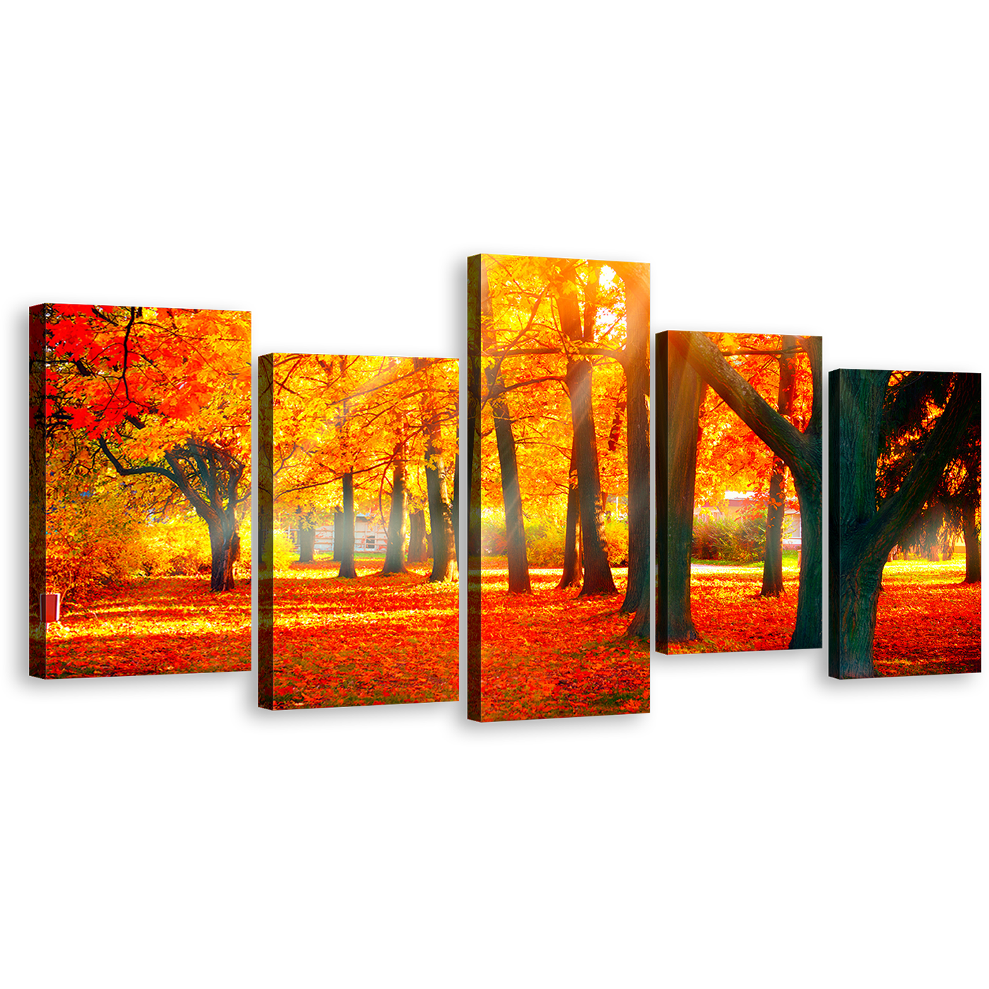 Autumnal Forest Canvas Wall Art, Beautiful Yellow Trees Forest 5 Piece Canvas, Red Autumn Scenery Canvas Print