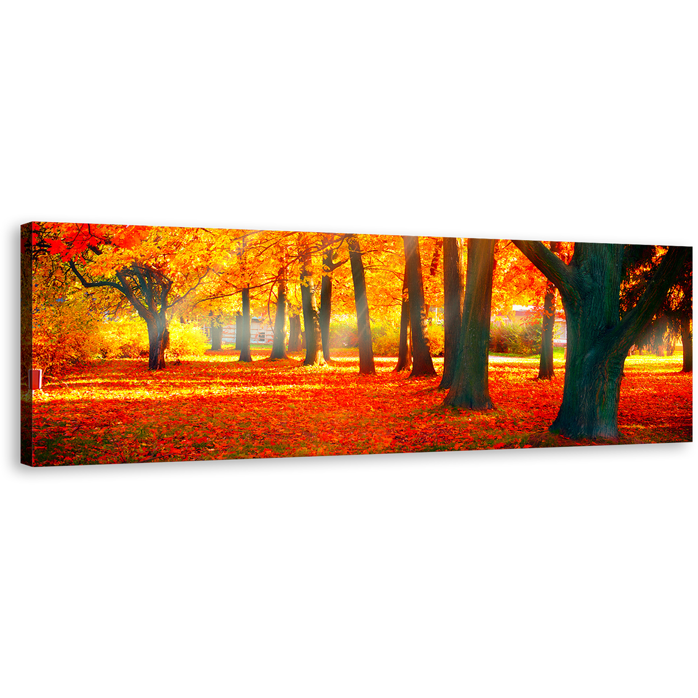 Autumnal Park Canvas Wall Art, Yellow Sunbeam Trees Forest Canvas Print, Red Autumn Fall Nature Scenery Panoramic Canvas Artwork