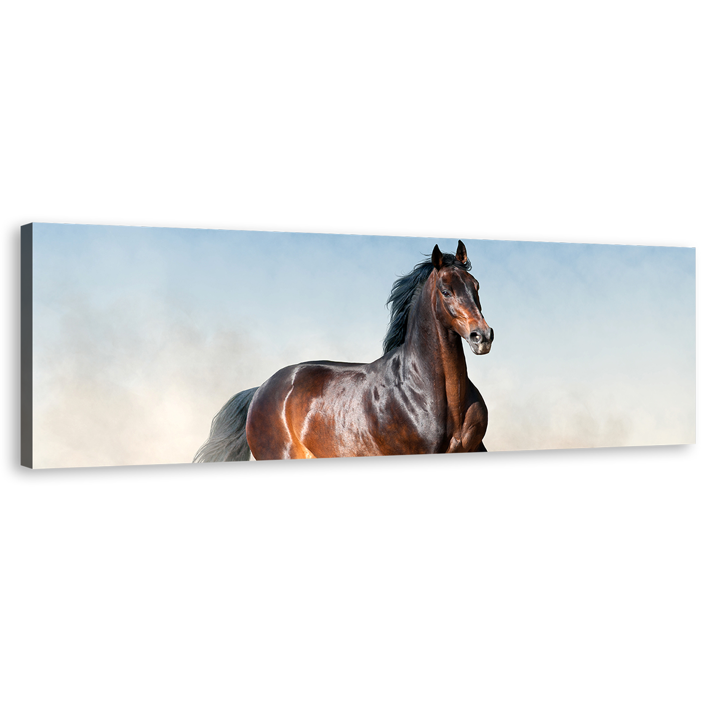 Bay Stallion Canvas Wall Art, Brown Horse Portrait 1 Piece Canvas Print, Horse White Desert Canvas Artwork