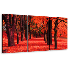 Load image into Gallery viewer, Beautiful Autumn Canvas Wall Art, Contemporary Red Forest 3 Piece Canvas, Black Trees Blossoms Path Triptych Canvas Print
