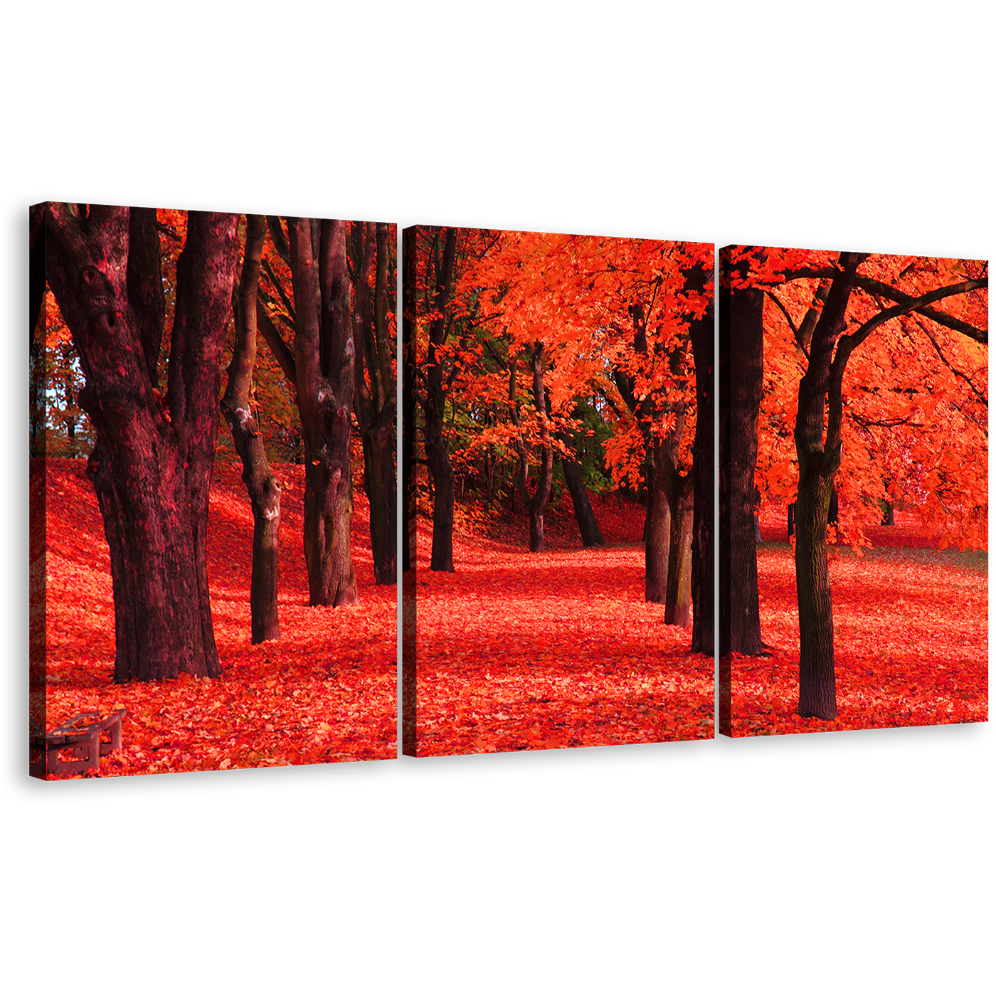 Beautiful Autumn Canvas Wall Art, Contemporary Red Forest 3 Piece Canvas, Black Trees Blossoms Path Triptych Canvas Print