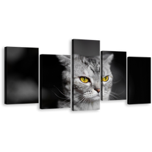 Load image into Gallery viewer, Beautiful Cat Canvas Wall Art, Yellow Cat Eyes Pet 5 Piece Canvas Print, Grey Cat Sitting Multiple Canvas
