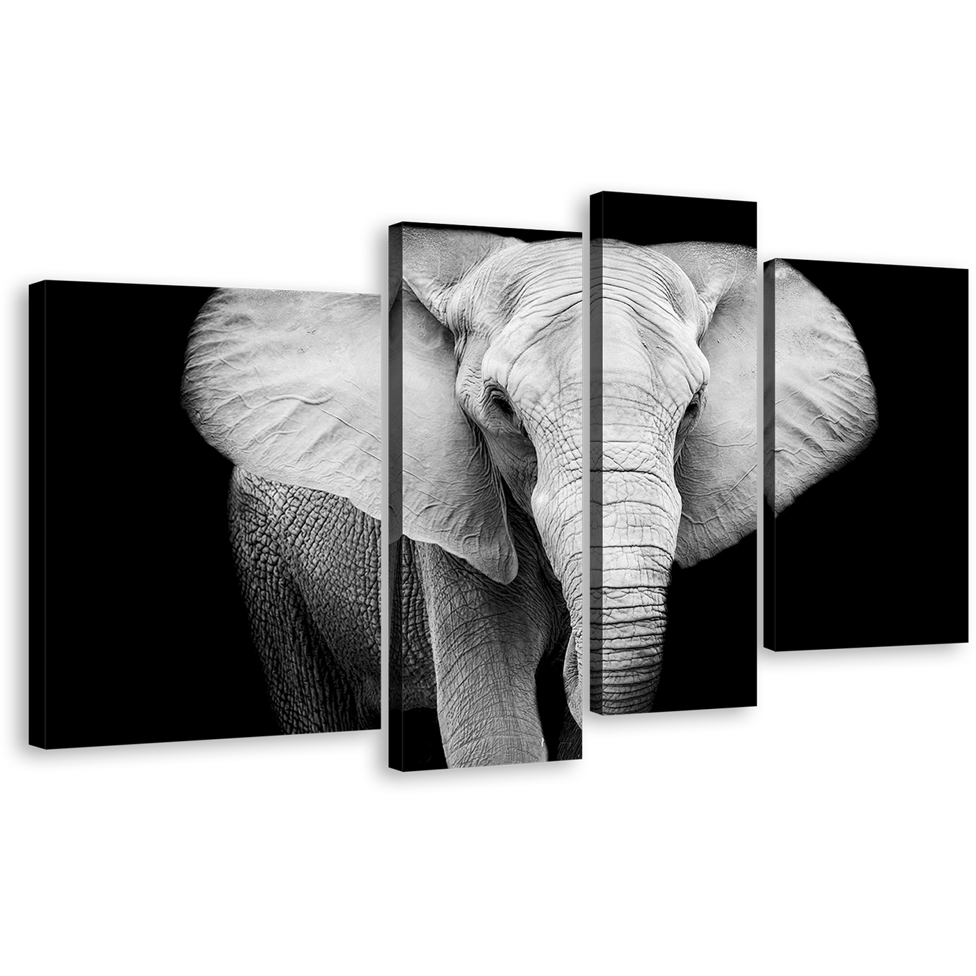 Beautiful Elephant Canvas Wall Art, Isolated Elephant Black and White 4 Piece Canvas Set, Grey Elephant Close Up Canvas Print