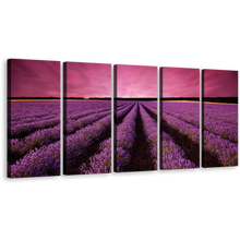 Load image into Gallery viewer, Beautiful Fields Canvas Print, Black Valensole Plateau Landscape Canvas Set, Purple Lavender Fields Scenery 5 Piece Canvas Wall Art
