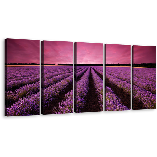 Beautiful Fields Canvas Print, Black Valensole Plateau Landscape Canvas Set, Purple Lavender Fields Scenery 5 Piece Canvas Wall Art