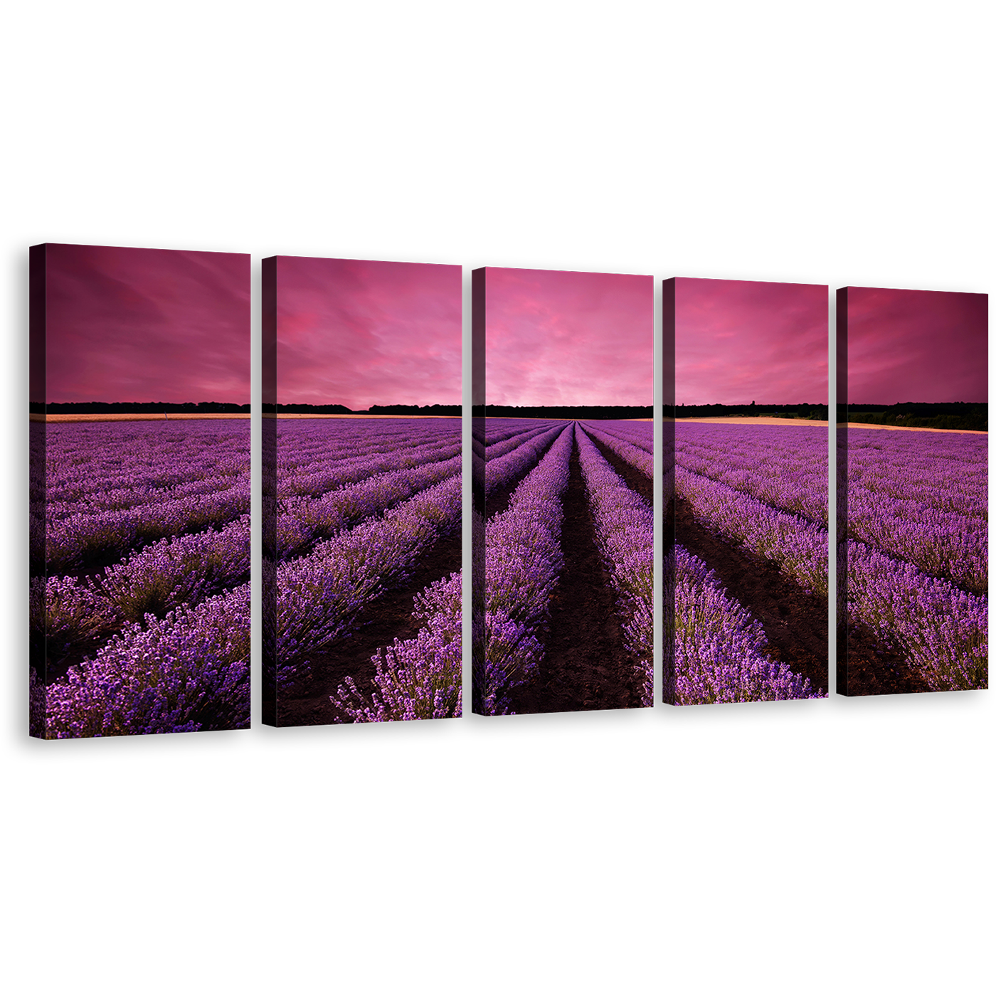 Beautiful Fields Canvas Print, Black Valensole Plateau Landscape Canvas Set, Purple Lavender Fields Scenery 5 Piece Canvas Wall Art