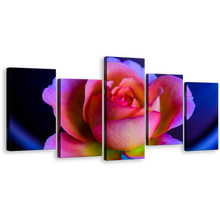 Load image into Gallery viewer, Beautiful Floral Canvas Wall Art, Blue Background Rose 5 Piece Multi Panel Canvas, Pink Purple Rose Flower Canvas Print
